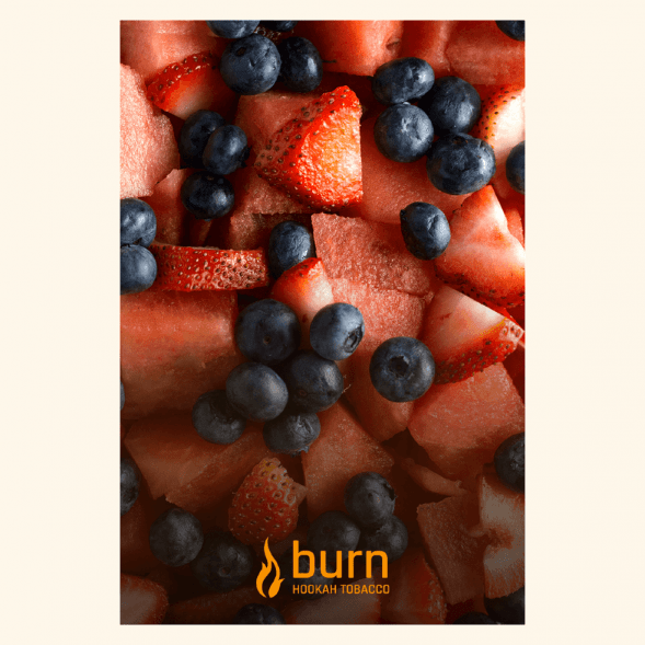 Табак Burn - Berried Treasure (Ягодный Микс, 100 грамм) купить в Самаре