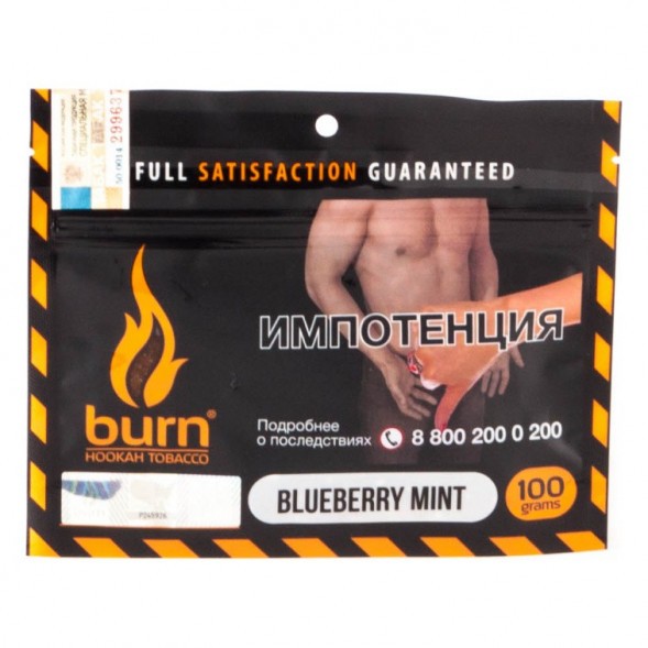 Табак Burn - Blueberry Mint (Черника с Мятой, 100 грамм) купить в Самаре