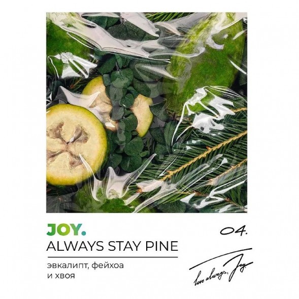 Табак Joy - Always Stay Pine (Эвкалипт, Фейхоа и Хвоя, 200 грамм) купить в Самаре