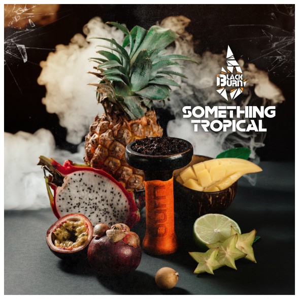 Табак BlackBurn - Something Tropical (Что-то Тропическое, 100 грамм) купить в Самаре