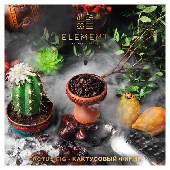 Табак Element Вода - Cactus Fig (Кактусовый финик, 100 грамм) купить в Самаре