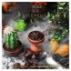 Табак Element Вода - Cactus Fig (Кактусовый финик, 100 грамм) купить в Самаре