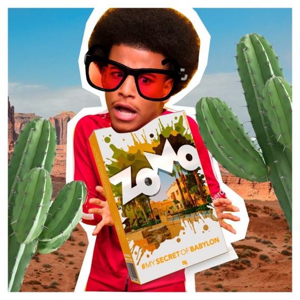 Табак Zomo - Secret Babylon (Сикрет Бабилон, 50 грамм) купить в Самаре