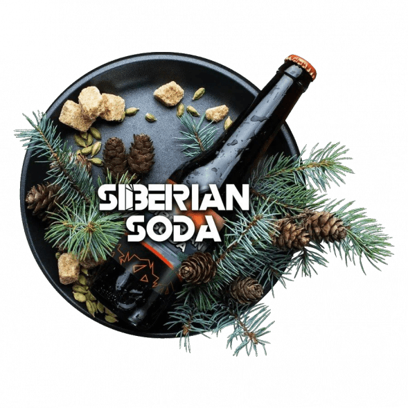 Табак BlackBurn - Siberian Soda (Лимонад Байкал, 25 грамм) купить в Самаре