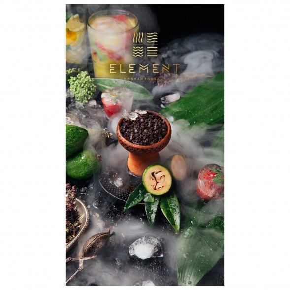 Табак Element Вода - Feijoa (Фейхоа, 100 грамм) купить в Самаре