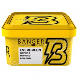 Табак Banger - Evergreen (Фейхоа Можжевельник, 200 грамм)