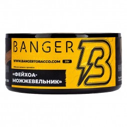 Табак Banger - Evergreen (Фейхоа Можжевельник, 25 грамм)