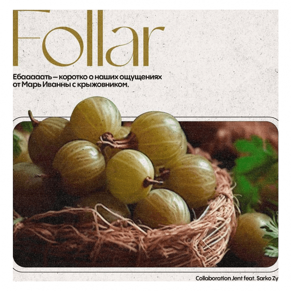 Табак Jent - Follar (Марь Иванна с Крыжовником, 200 грамм) купить в Самаре