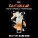 Табак Darkside Shot - Балтийский (30 грамм) купить в Самаре