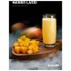 Табак DarkSide Core - MANGO LASSI (Манговый коктейль, 100 грамм) купить в Самаре