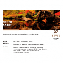 Табак Satyr - North Berry (Северная Ягода, 200 грамм)