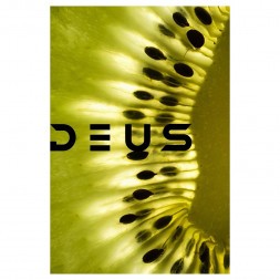 Табак Deus - Kiwi (Киви, 100 грамм)