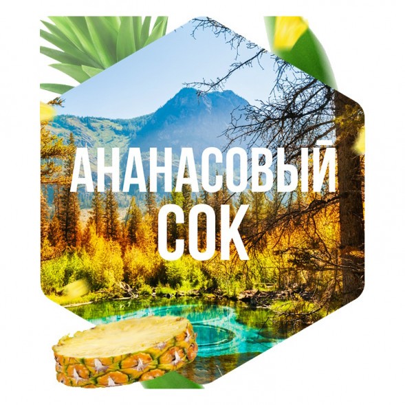 Табак Сарма - Ананасовый Сок (25 грамм) купить в Самаре
