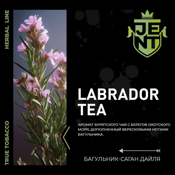 Табак Jent - Labrador Tea (Багульник и Саган Дайля, 25 грамм) купить в Самаре