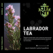 Табак Jent - Labrador Tea (Багульник и Саган Дайля, 25 грамм) купить в Самаре