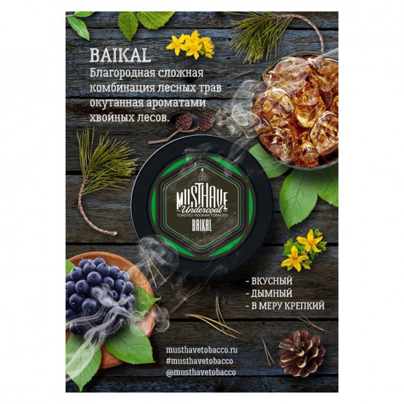 Табак Must Have - Baikal (Байкал, 25 грамм) купить в Самаре