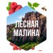 Табак Сарма - Лесная Малина (25 грамм) купить в Самаре