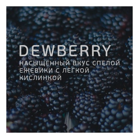 Табак Twelve - Dewberry (Ежевика, 100 грамм, Акциз) купить в Самаре