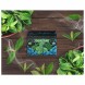 Смесь Malaysian Mix Medium - Mint (Мята, 50 грамм) купить в Самаре