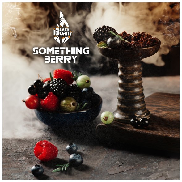 Табак BlackBurn - Something Berry (Что-то Ягодное, 25 грамм) купить в Самаре